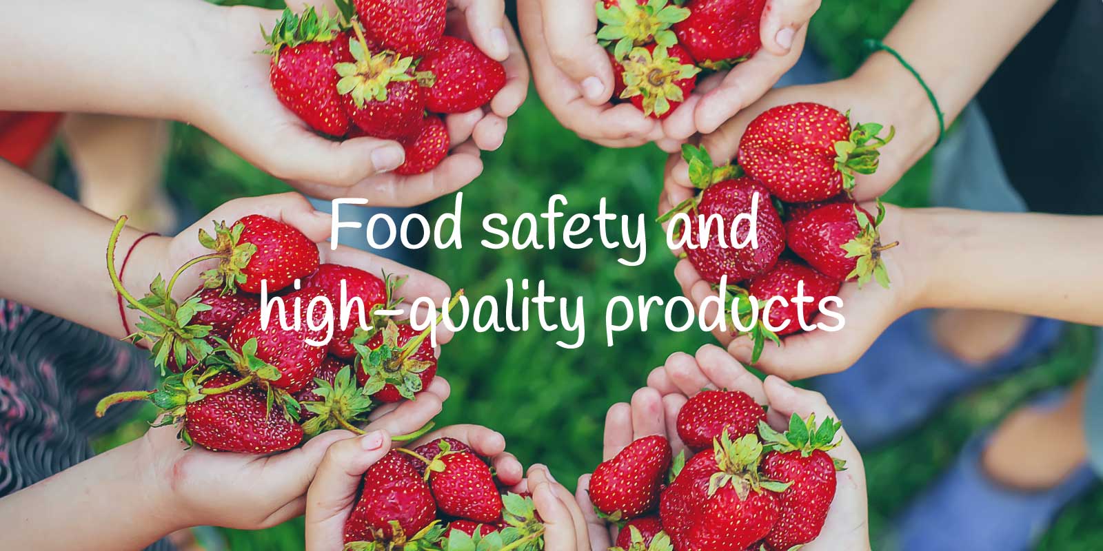 Sanco_Home_Food-safety-and-high-quality-products_Opcion-B