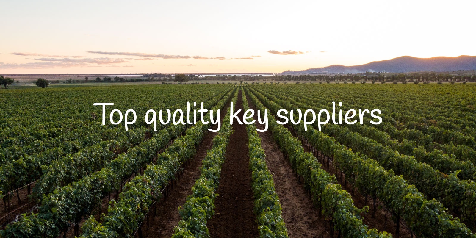 Sanco_Home_Top-quality-key-suppliers_Opcion-B
